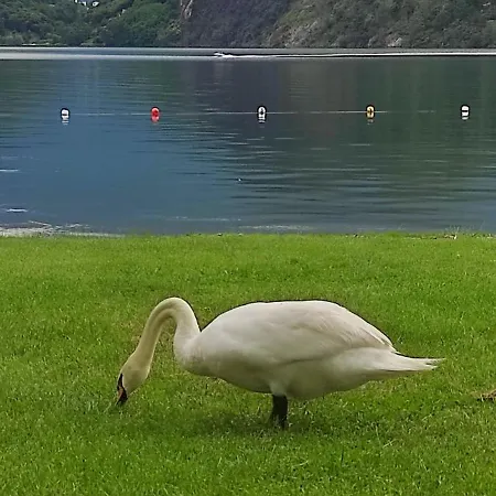 Piano - 10 Minuti A Piedi Dal