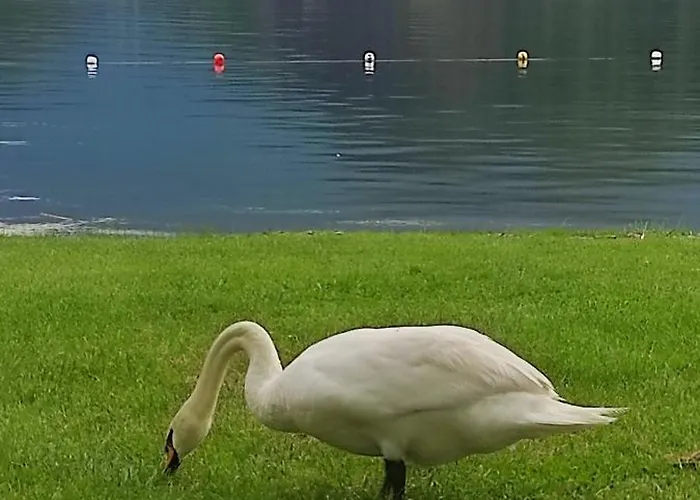 Piano - 10 Minuti A Piedi Dal